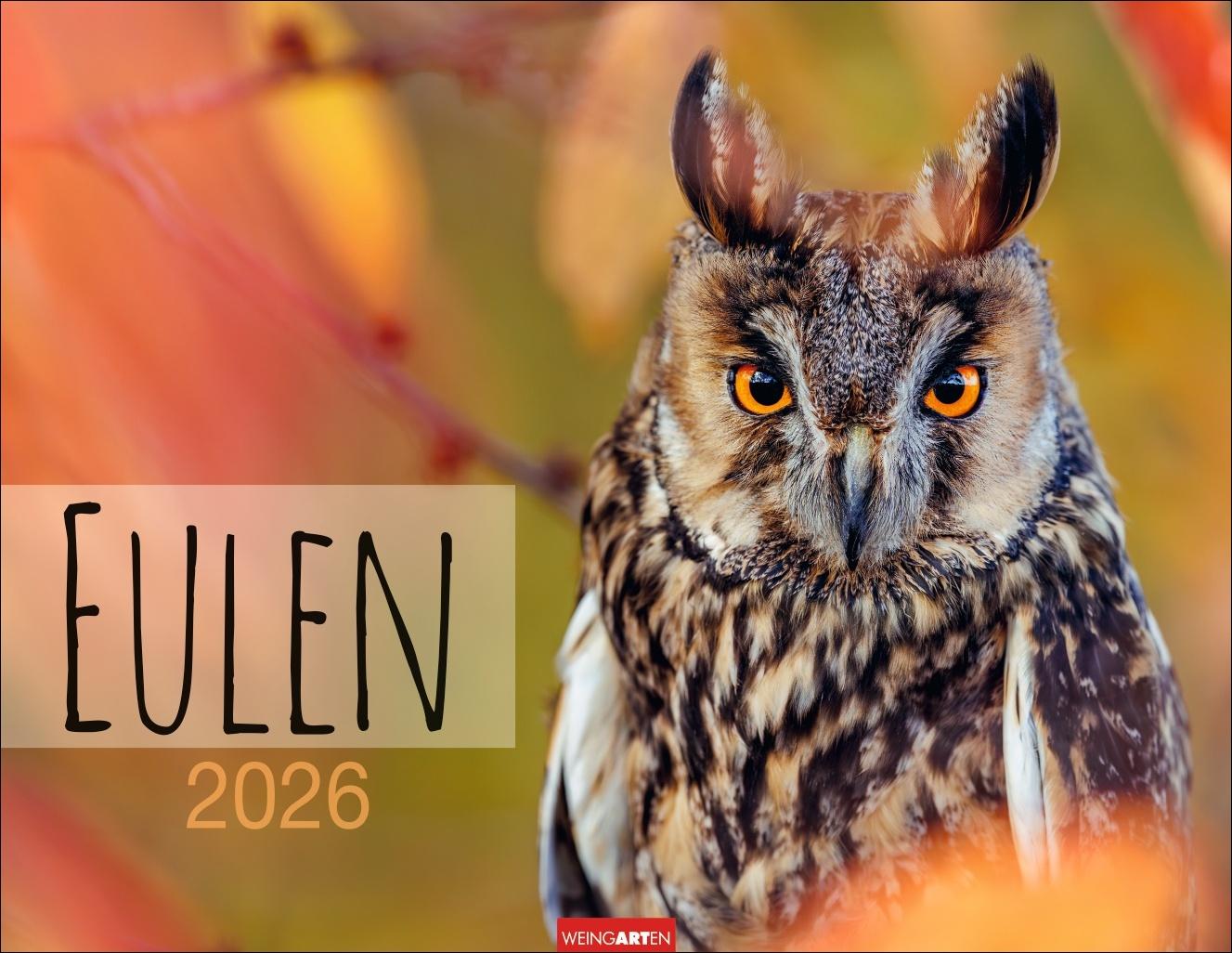 Vorderes Coverbild Eulen Kalender 2026
