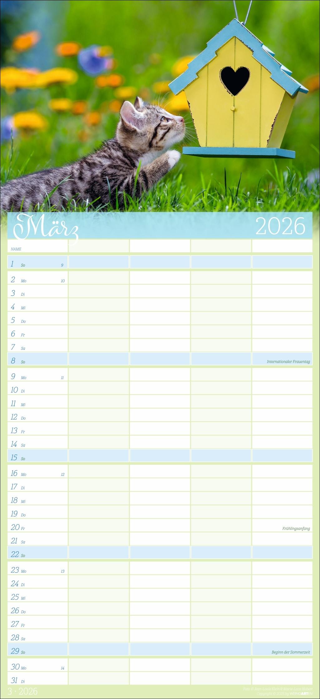 Beispielinhalt (Bild) Cool Cats Familienplaner 2026