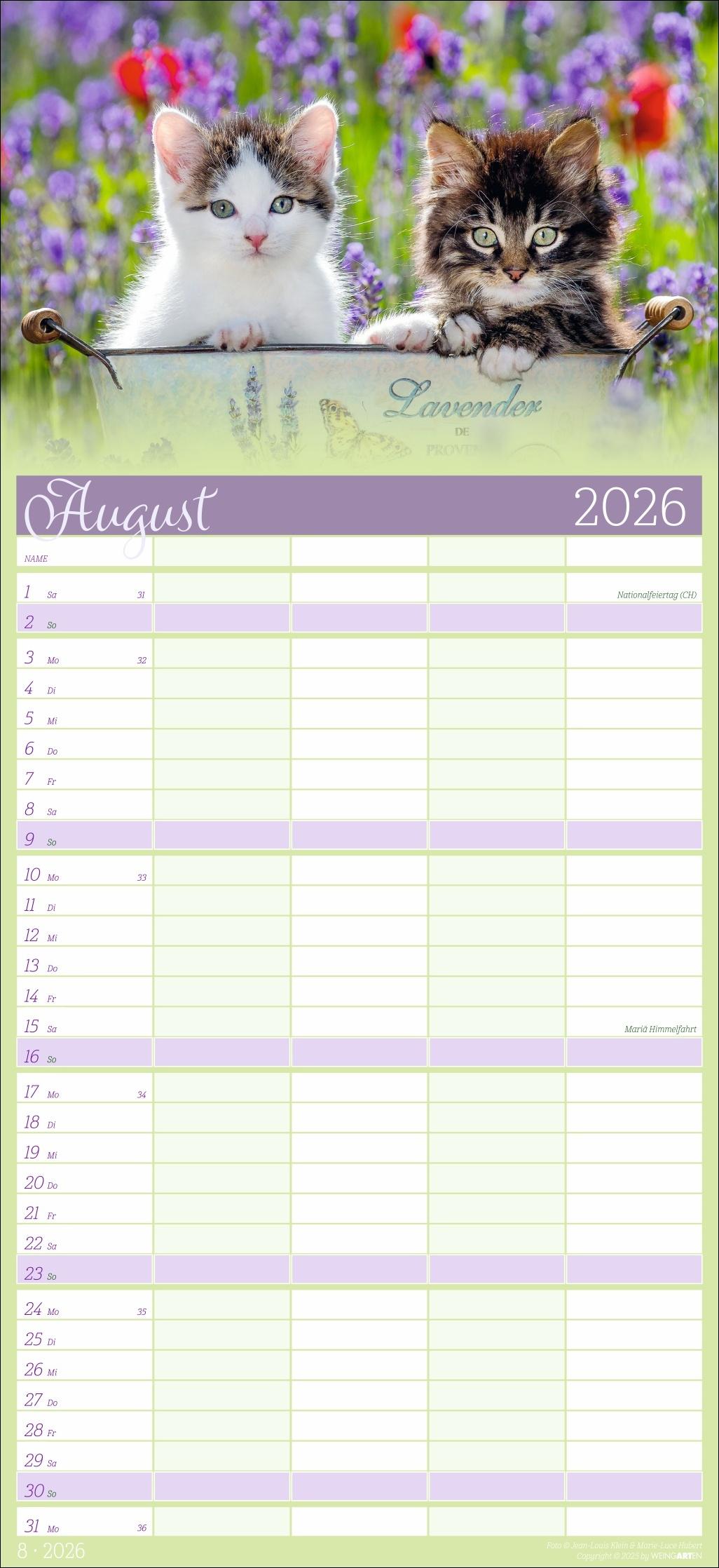 Beispielinhalt (Bild) Cool Cats Familienplaner 2026