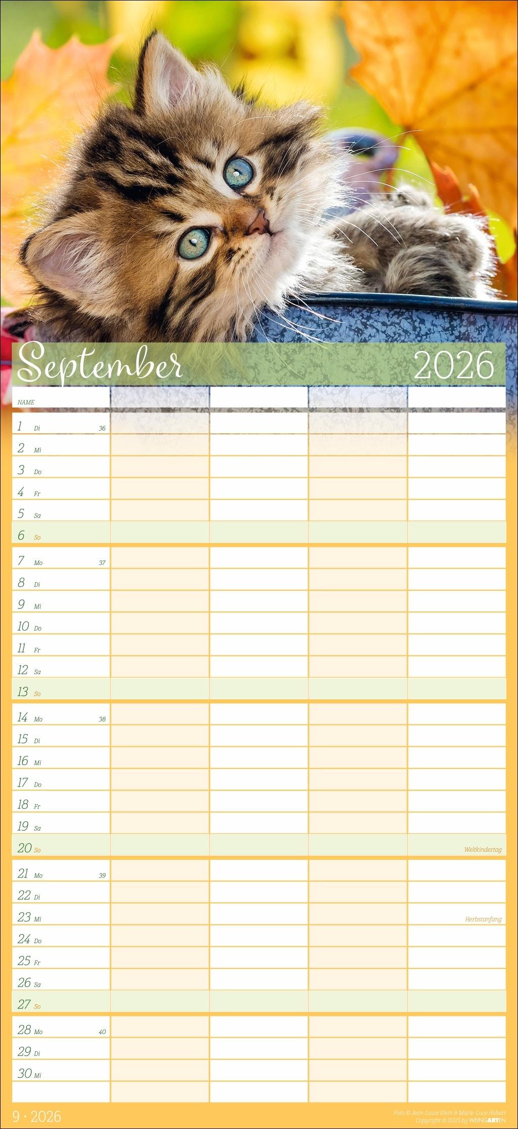 Beispielinhalt (Bild) Cool Cats Familienplaner 2026