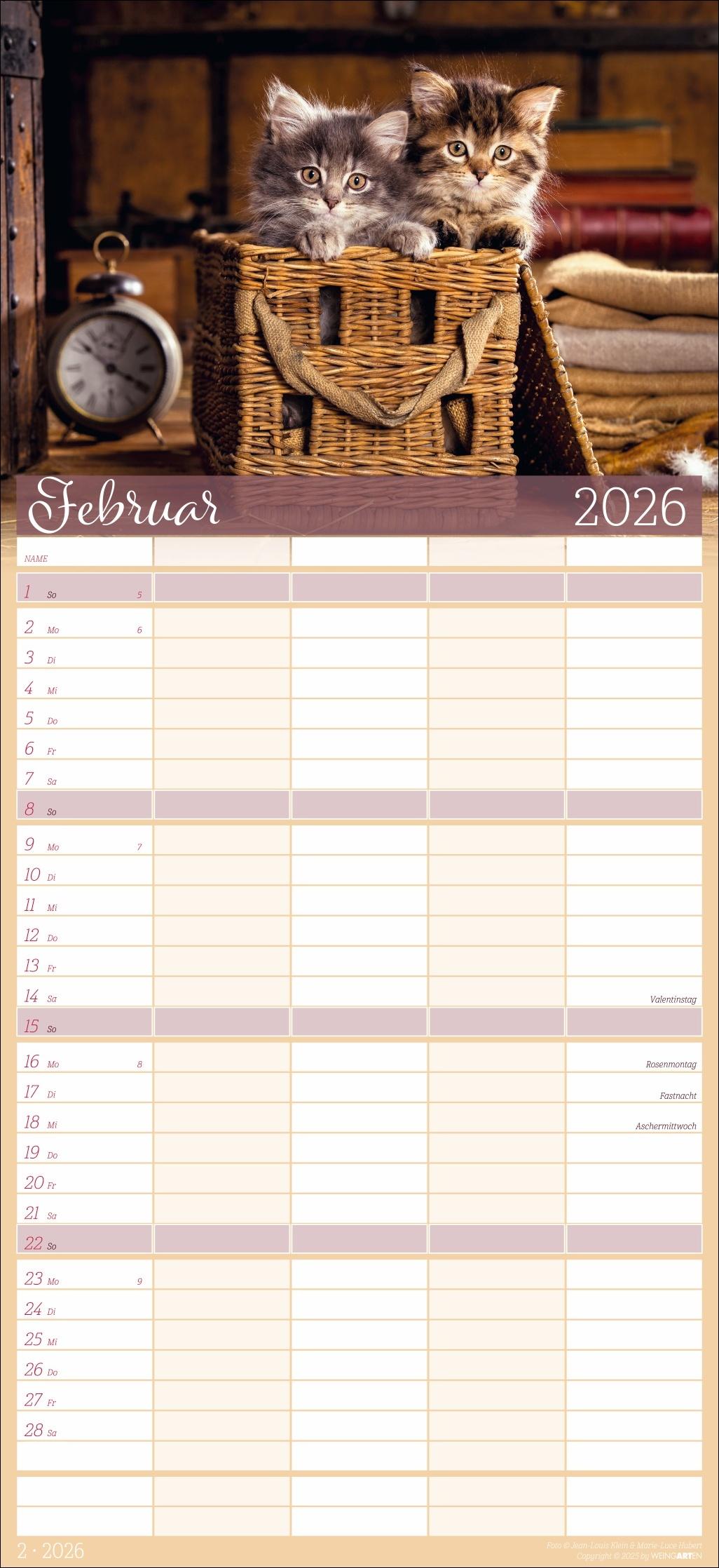 Beispielinhalt (Bild) Cool Cats Familienplaner 2026
