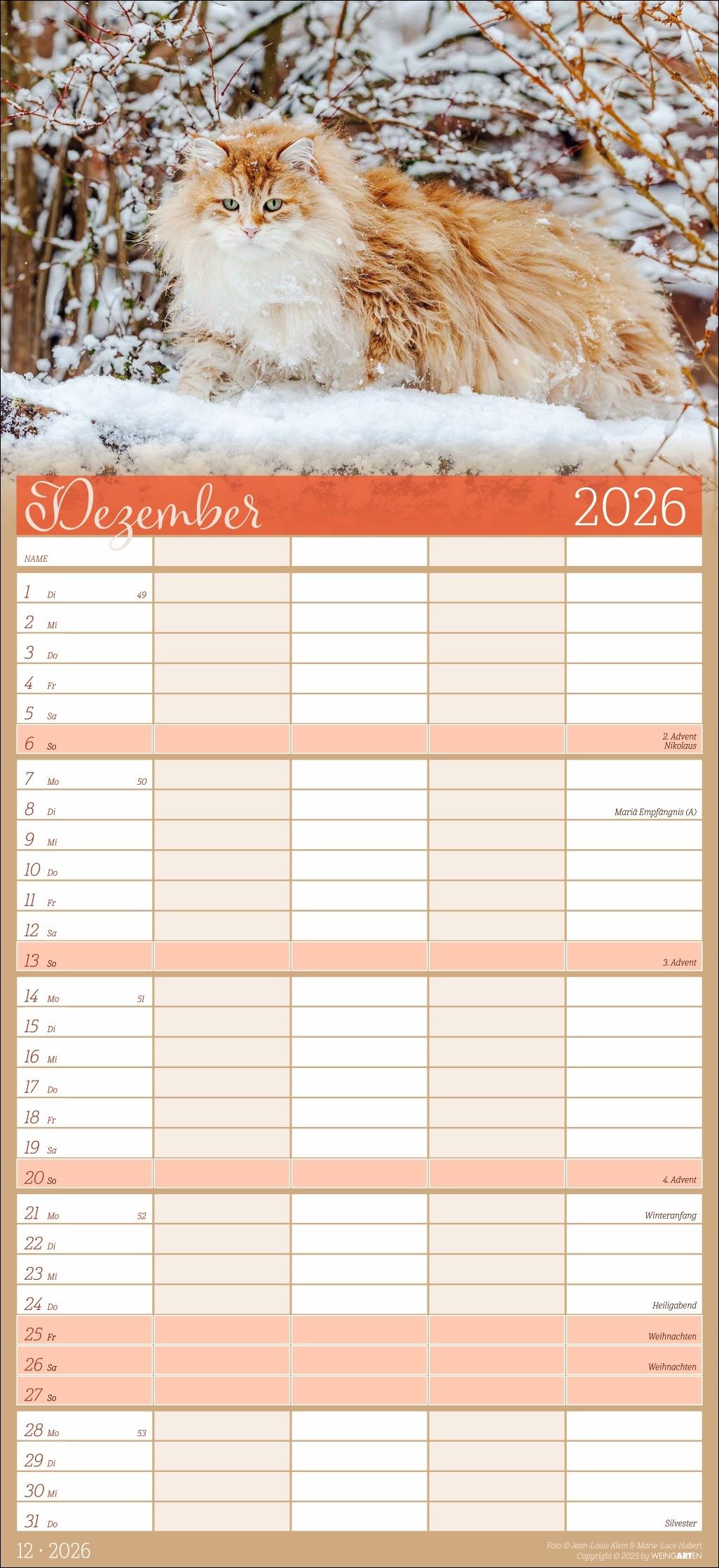 Beispielinhalt (Bild) Cool Cats Familienplaner 2026