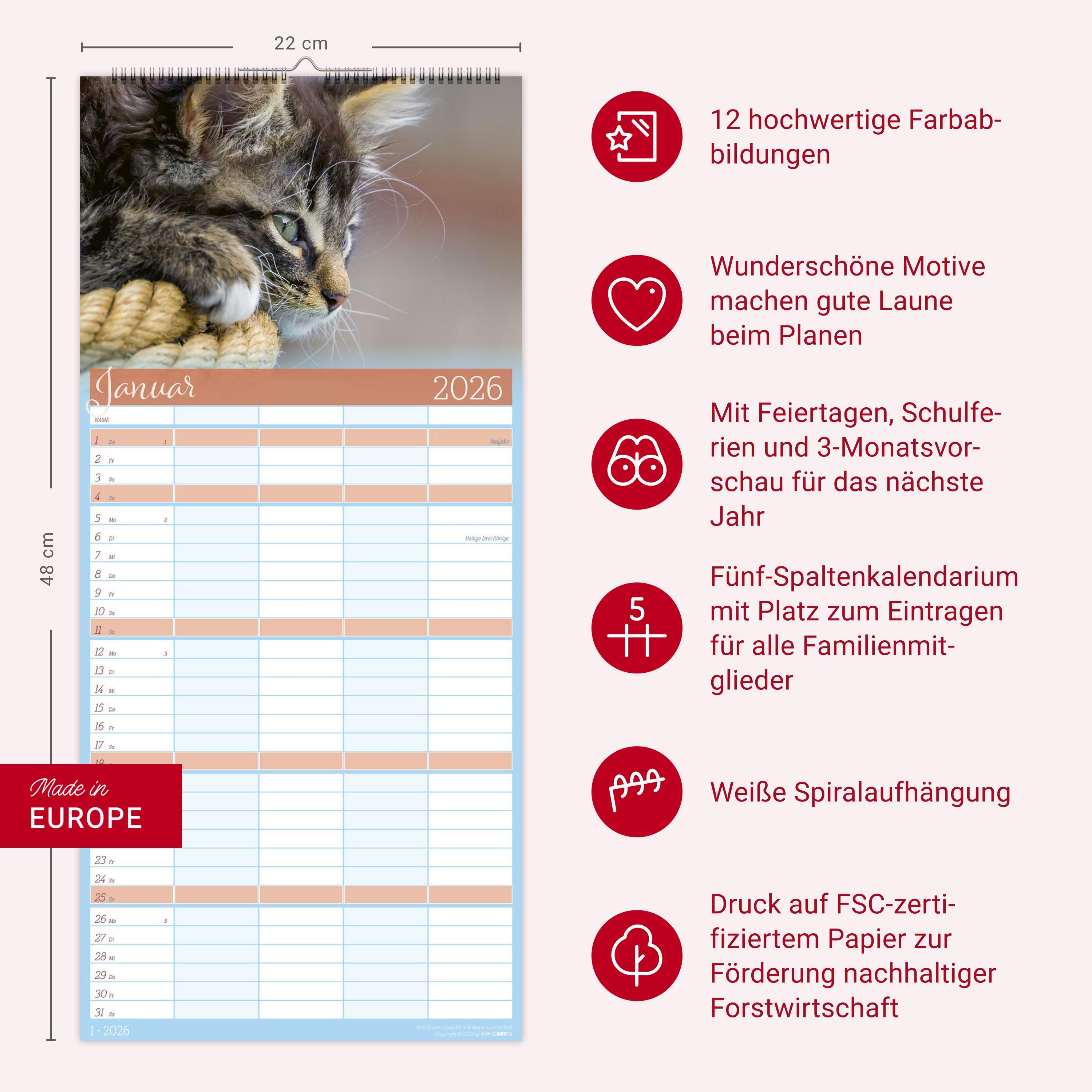 Beispielinhalt (Bild) Cool Cats Familienplaner 2026