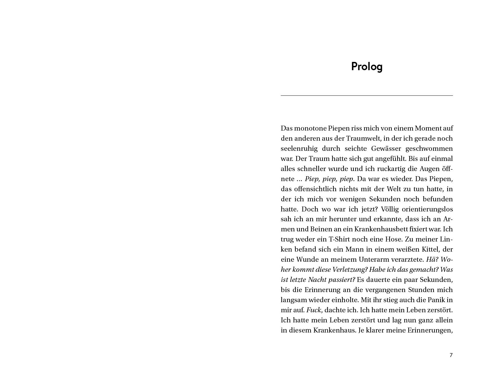 Beispielinhalt (Bild) 1995 Lichterfelde