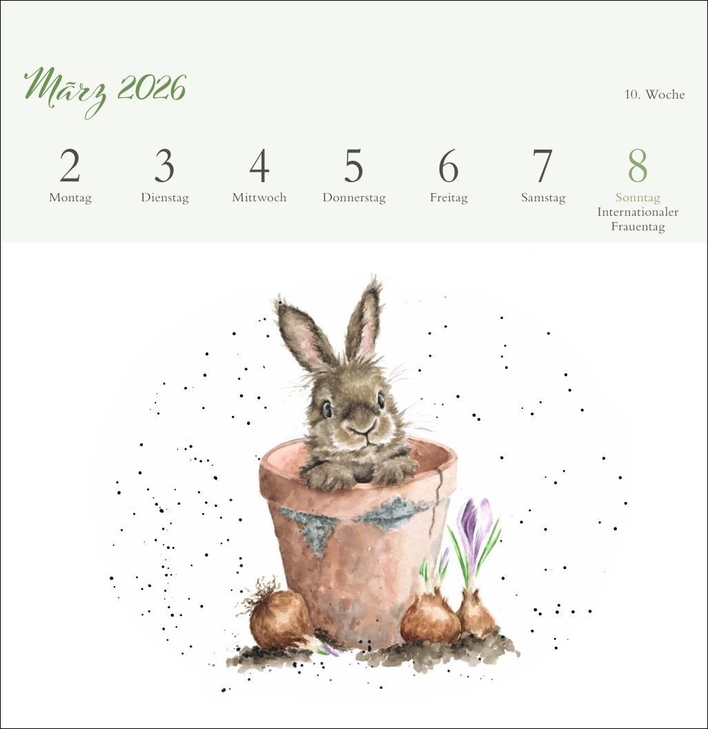 Beispielinhalt (Bild) Hannah Dale: Happy Animals Premium-Postkartenkalender 2026