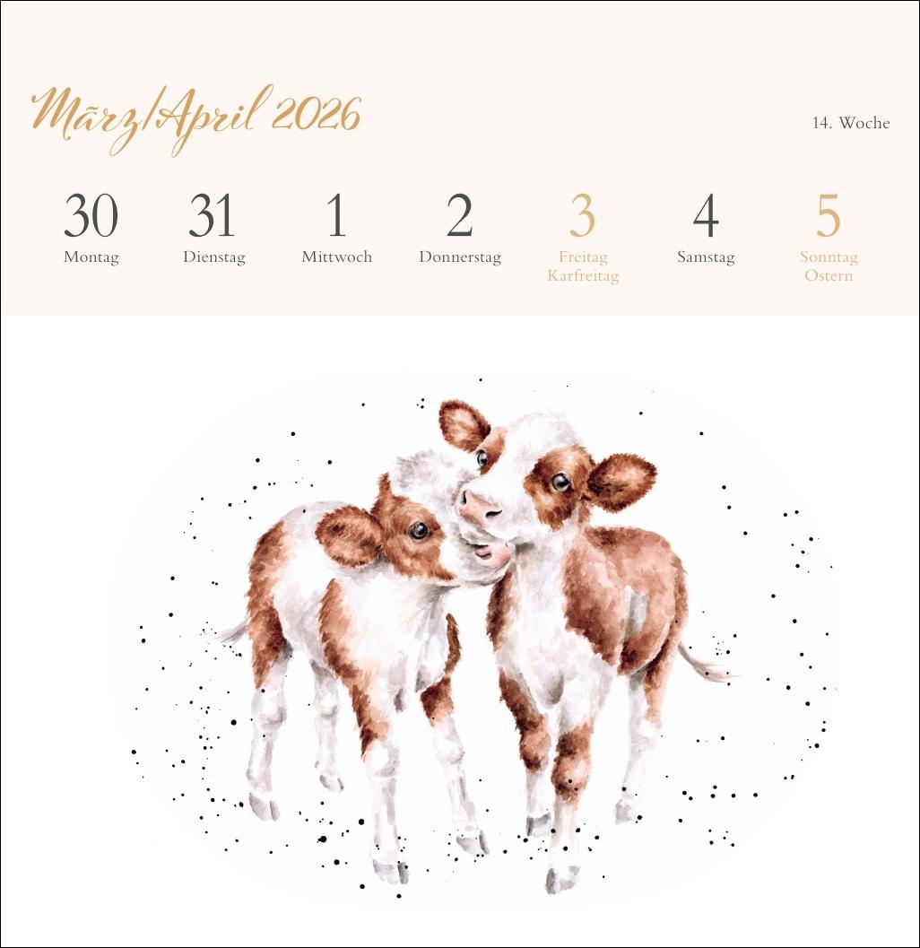 Beispielinhalt (Bild) Hannah Dale: Happy Animals Premium-Postkartenkalender 2026