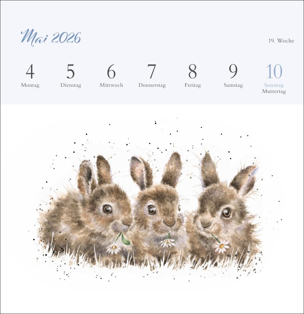Beispielinhalt (Bild) Hannah Dale: Happy Animals Premium-Postkartenkalender 2026