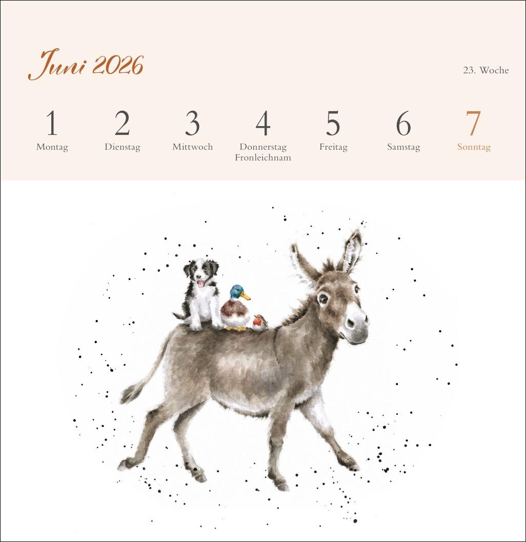 Beispielinhalt (Bild) Hannah Dale: Happy Animals Premium-Postkartenkalender 2026