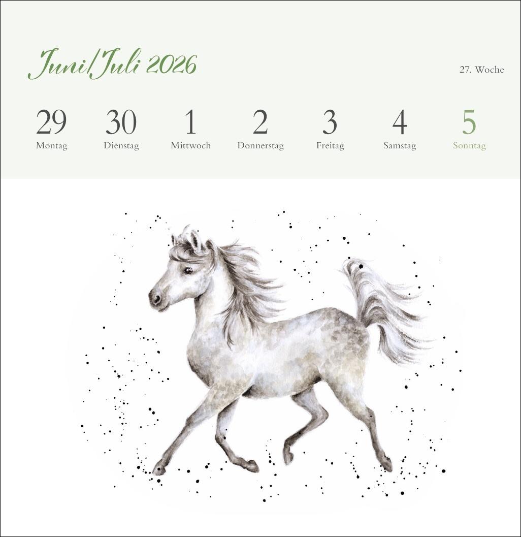 Beispielinhalt (Bild) Hannah Dale: Happy Animals Premium-Postkartenkalender 2026