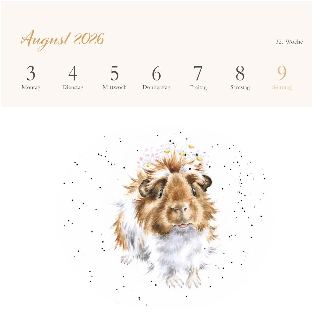 Beispielinhalt (Bild) Hannah Dale: Happy Animals Premium-Postkartenkalender 2026