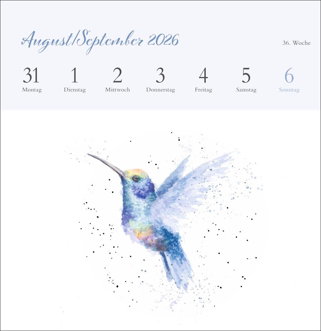 Beispielinhalt (Bild) Hannah Dale: Happy Animals Premium-Postkartenkalender 2026