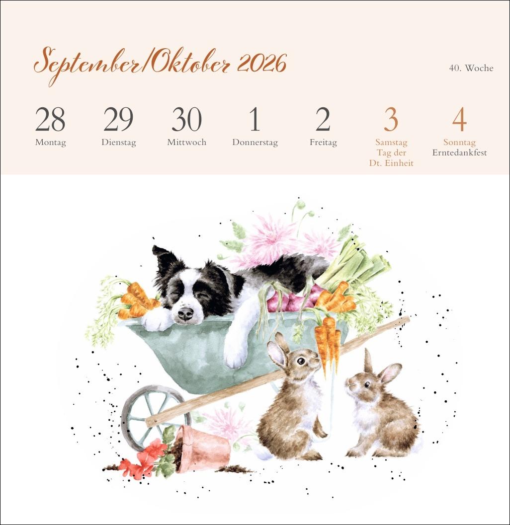 Beispielinhalt (Bild) Hannah Dale: Happy Animals Premium-Postkartenkalender 2026