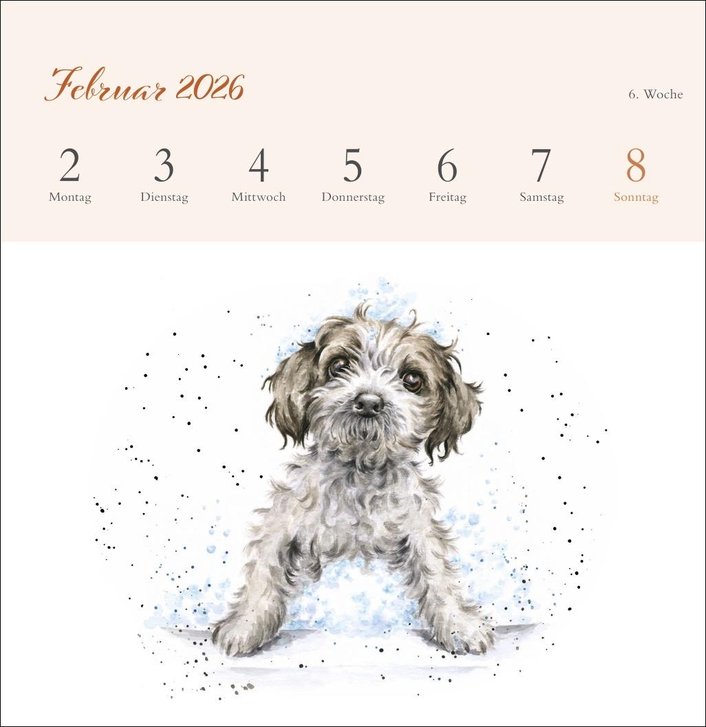 Beispielinhalt (Bild) Hannah Dale: Happy Animals Premium-Postkartenkalender 2026
