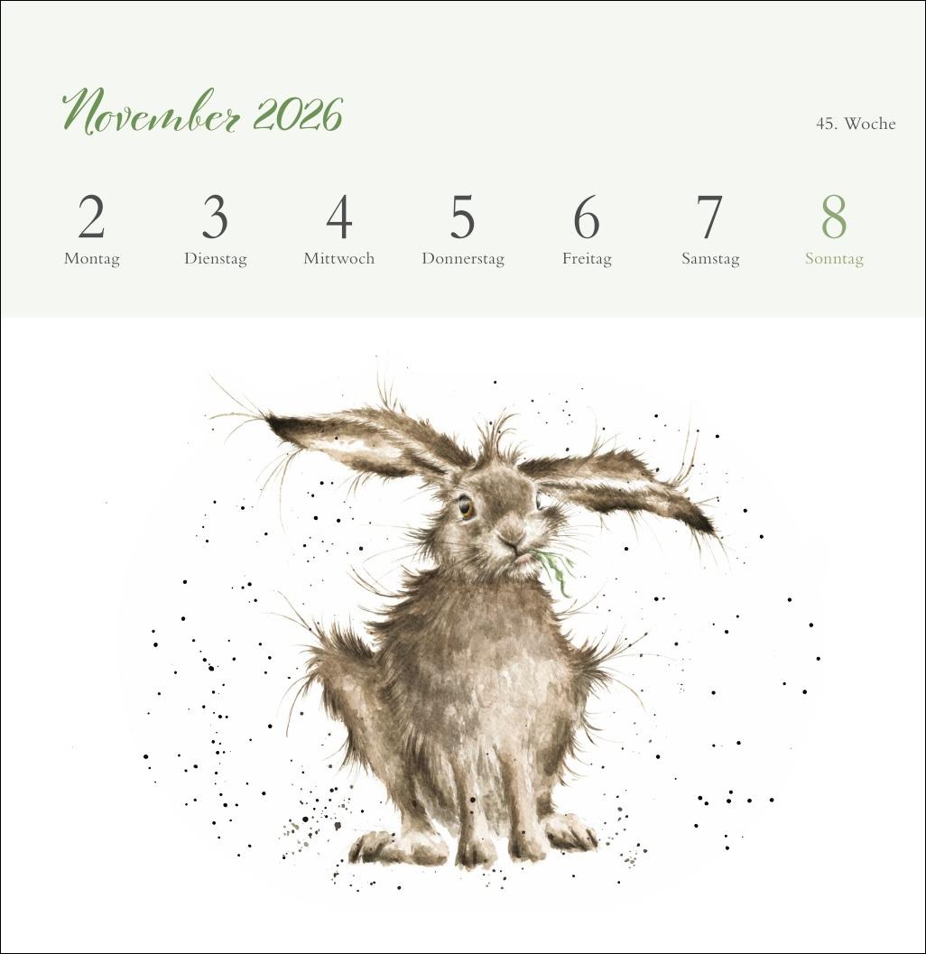 Beispielinhalt (Bild) Hannah Dale: Happy Animals Premium-Postkartenkalender 2026