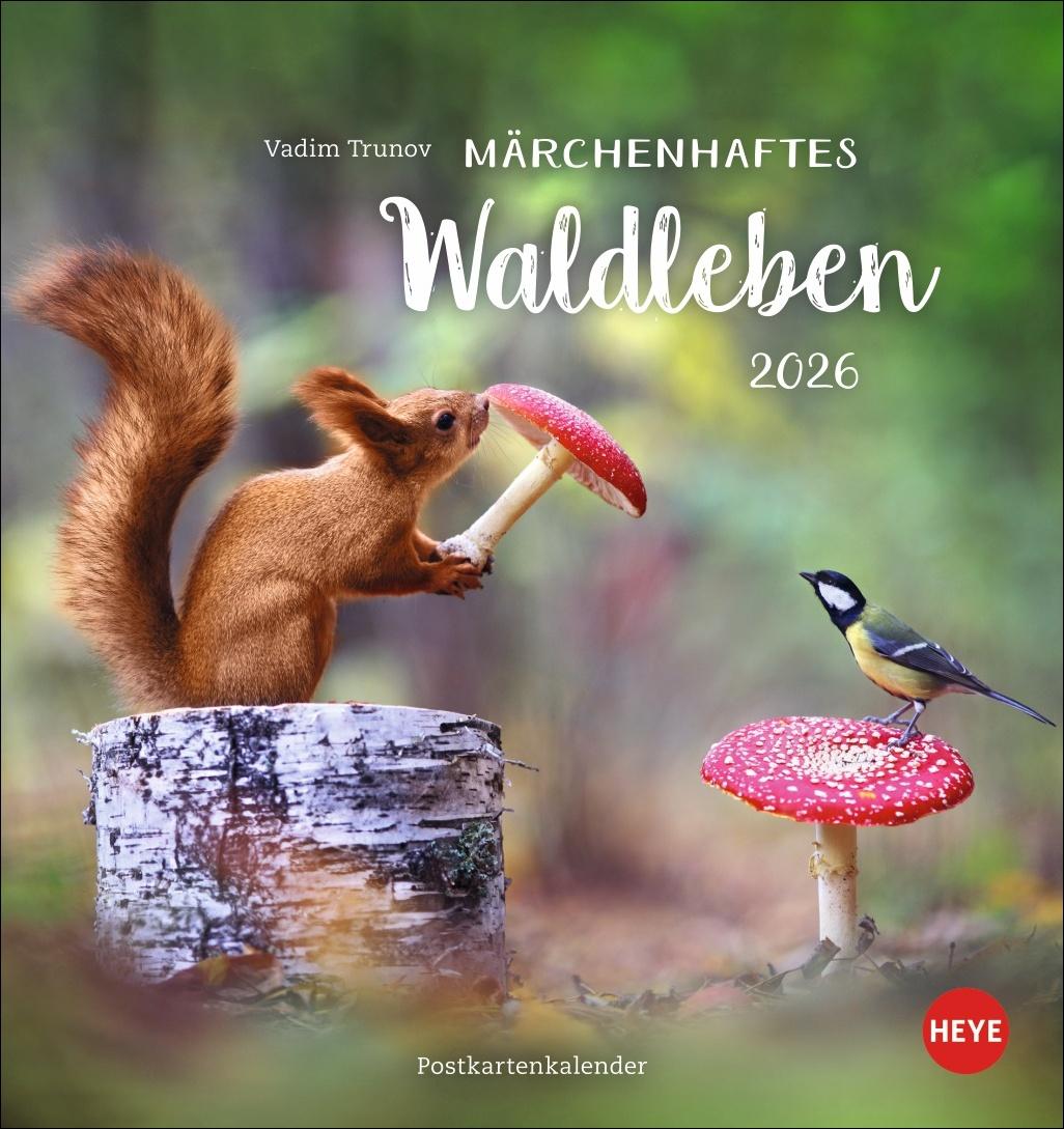 Vorderes Coverbild Vadim Trunov: Märchenhaftes Waldleben Postkartenkalender 2026