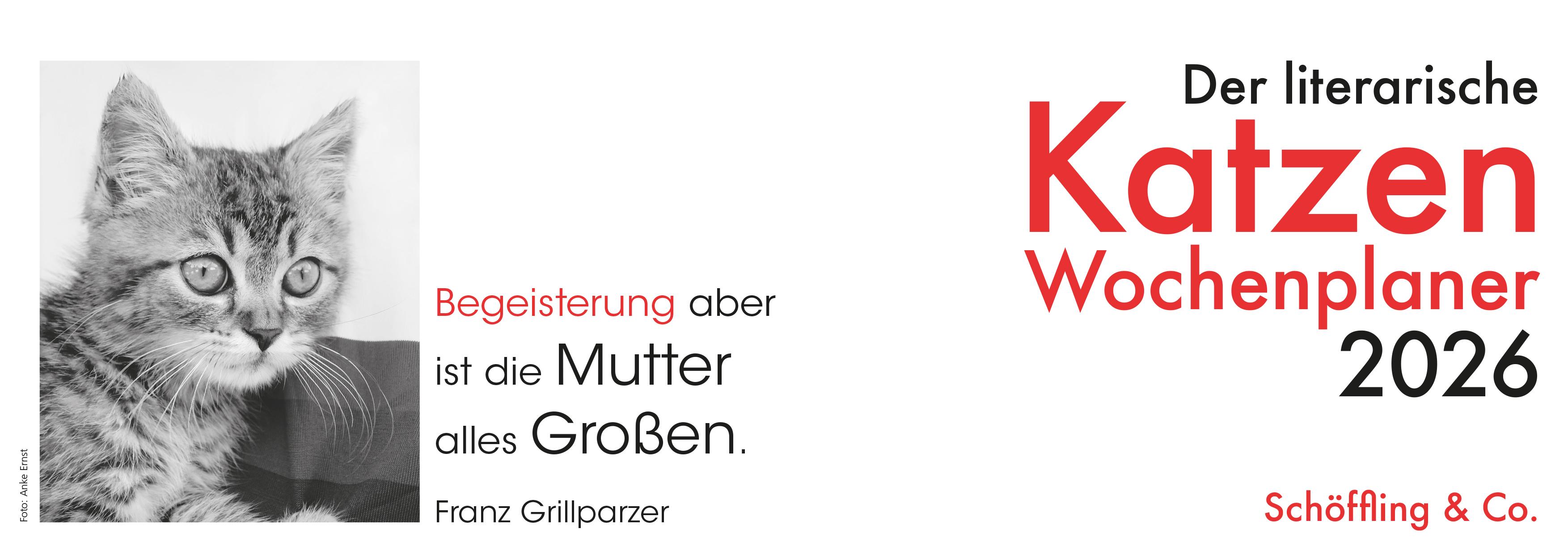 Vorderes Coverbild Der literarische Katzen Wochenplaner 2026