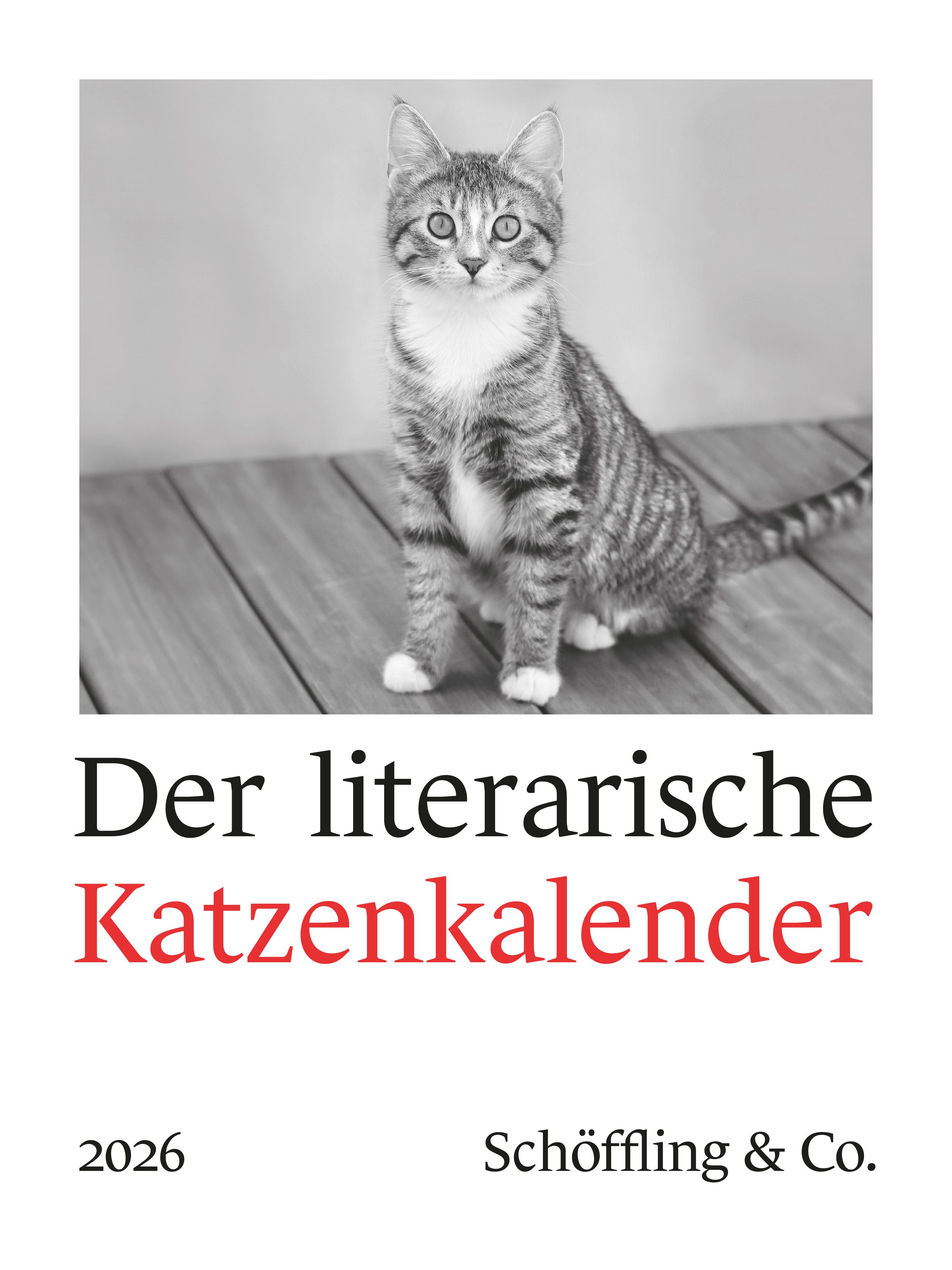 Vorderes Coverbild Der literarische Katzenkalender 2026