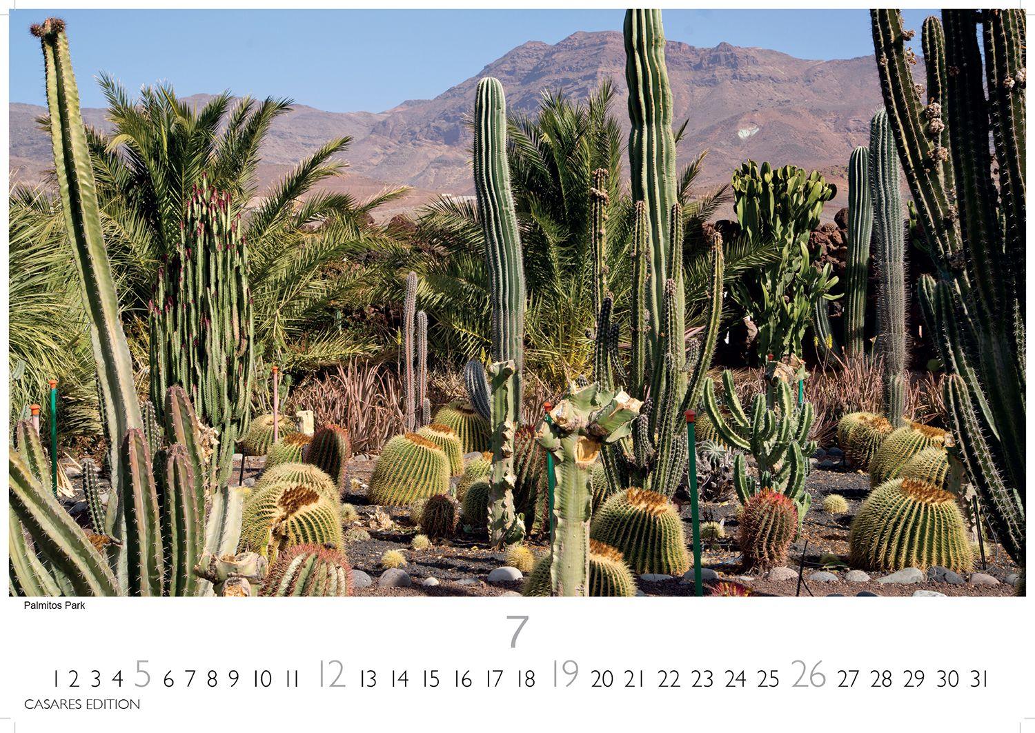 Beispielinhalt (Bild) Gran Canaria Kalender 2026 - Wandkalender | Fotokalender Spanien 24x35 cm - Premium . dieser bezaubernden Insel