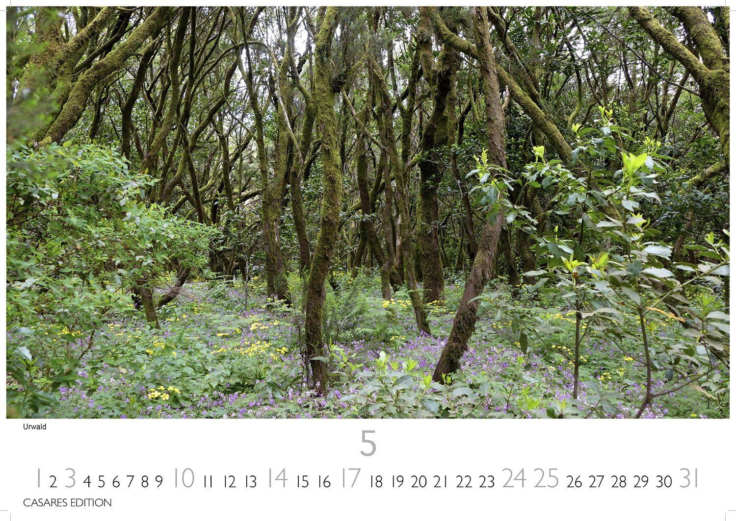 Beispielinhalt (Bild) La Gomera Kalender 2026 - Wandkalender | Fotokalender Spanien 24x35 cm - Atemberaubender . mit den schönsten Motiven der Kanareninsel