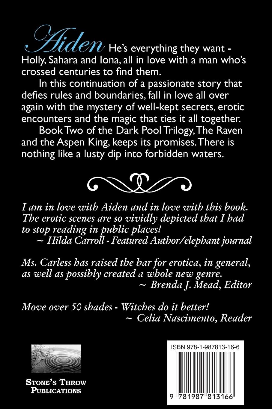 Rückseitencover The Raven and the Aspen King