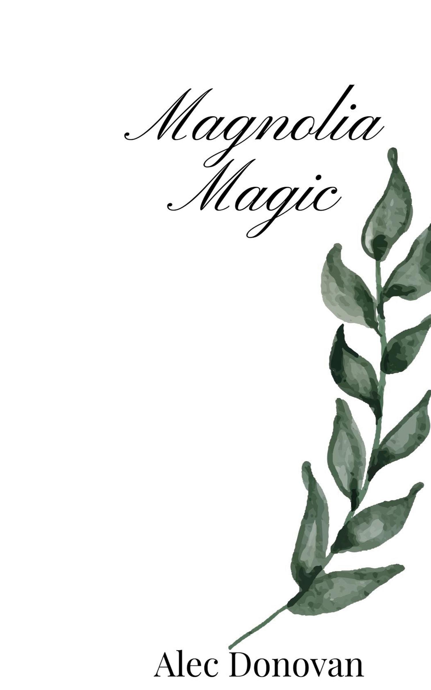 Vorderes Coverbild Willow's Wisdom