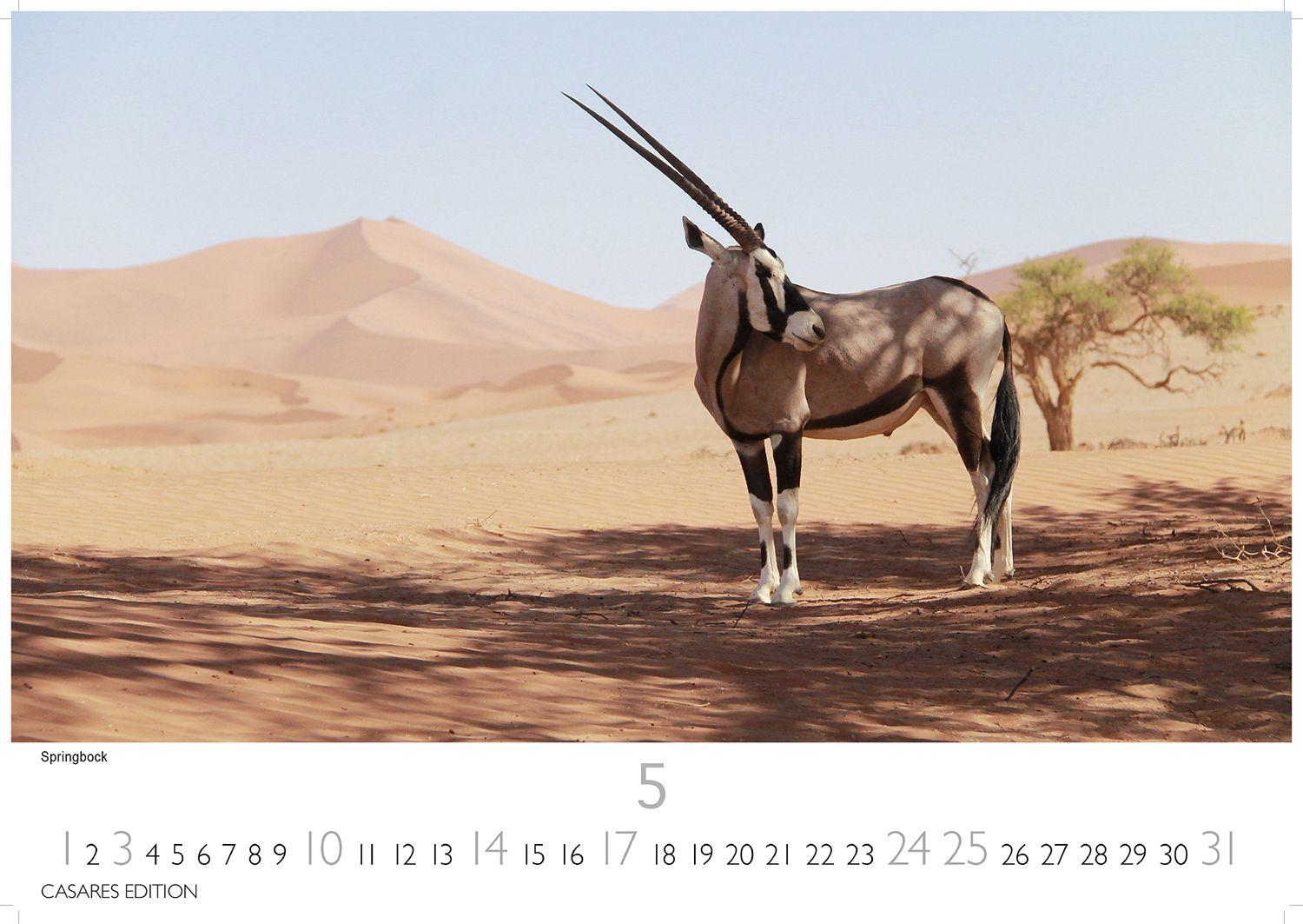 Beispielinhalt (Bild) Wilde Tiere Afrikas Kalender 2026 - Wandkalender | Fotokalender Afrika 24x35cm | Naturfotografie | Tierkalender Afrika | Geschenk für Naturliebhaber