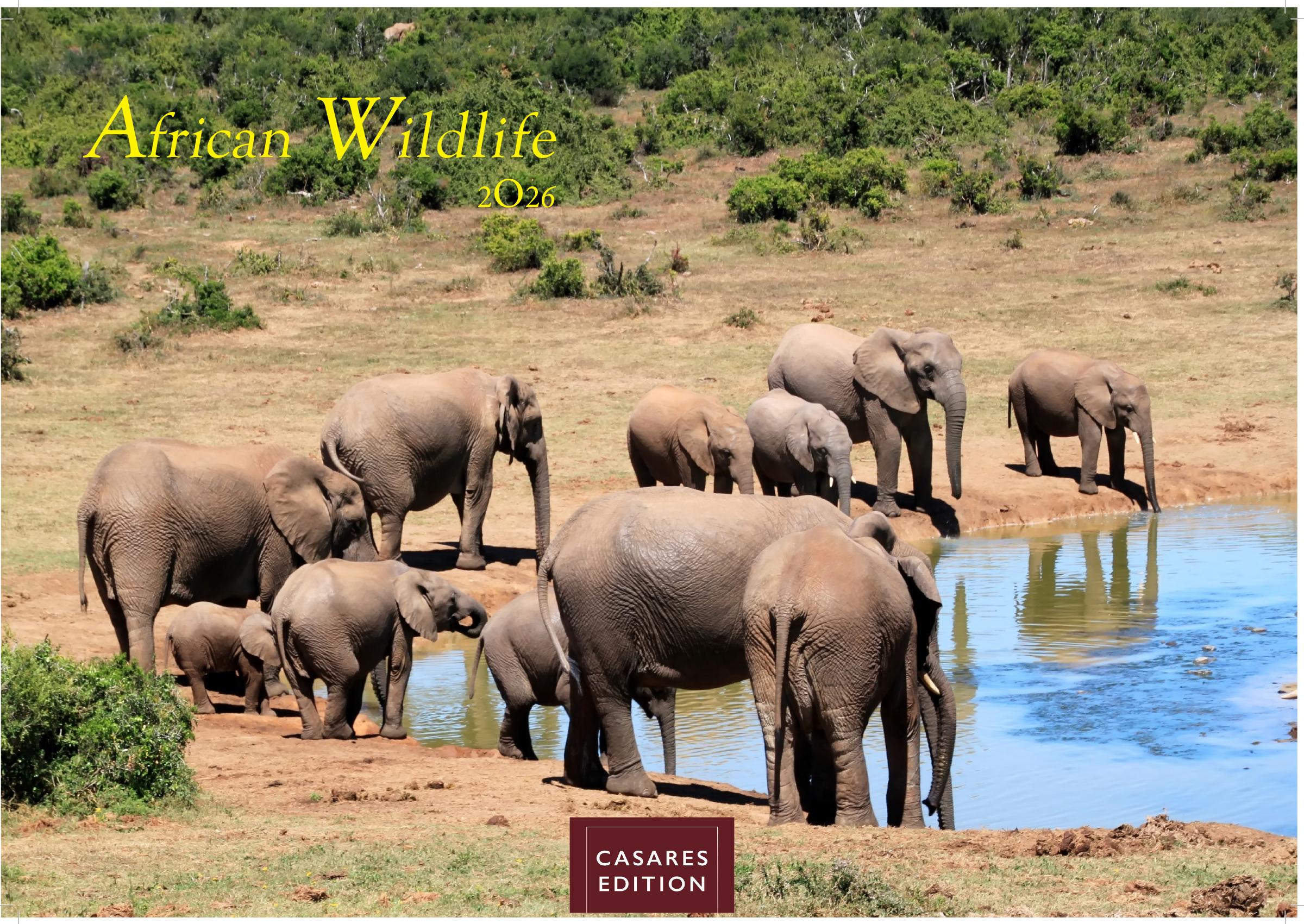 Vorderes Coverbild Wilde Tiere Afrikas Kalender 2026 - Wandkalender | Fotokalender Afrika 24x35cm | Naturfotografie | Tierkalender Afrika | Geschenk für Naturliebhaber