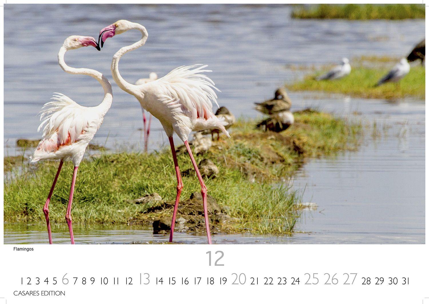 Beispielinhalt (Bild) Kenia & Serengheti Kalender 2026 - Wandkalender | Fotokalender Afrika 24x35cm - Wunderschöne Tierkalender- und Naturschutzfotos.