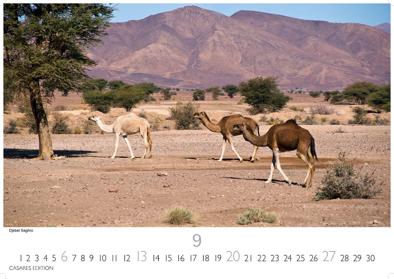 Beispielinhalt (Bild) Marokko Kalender 2026 - Wandkalender | Fotokalender Afrika 24x35 cm - Hochwertiger . für das Jahr 2026 - mit beeindruckenden Bildern aus Marokko.