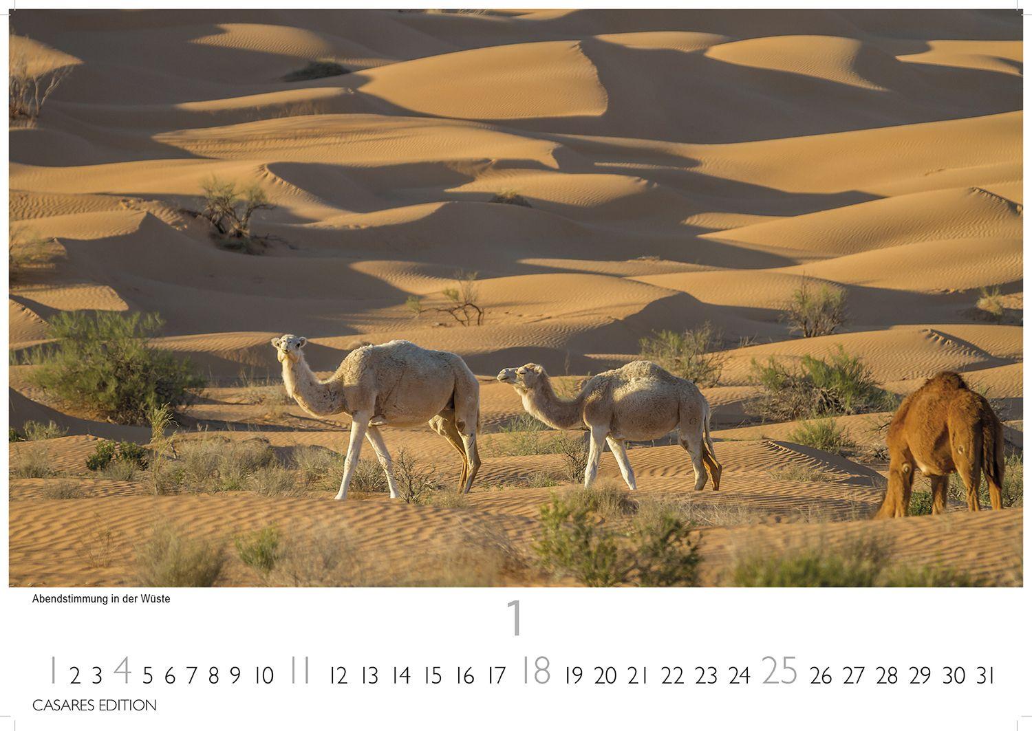 Beispielinhalt (Bild) Tunesien Kalender 2026 - Wandkalender | Fotokalender Afrika 35x50 cm: Hochwertige Fotos, die die Kultur, Landschaften und Sehenswürdigkeiten Tunesiens zeigen.