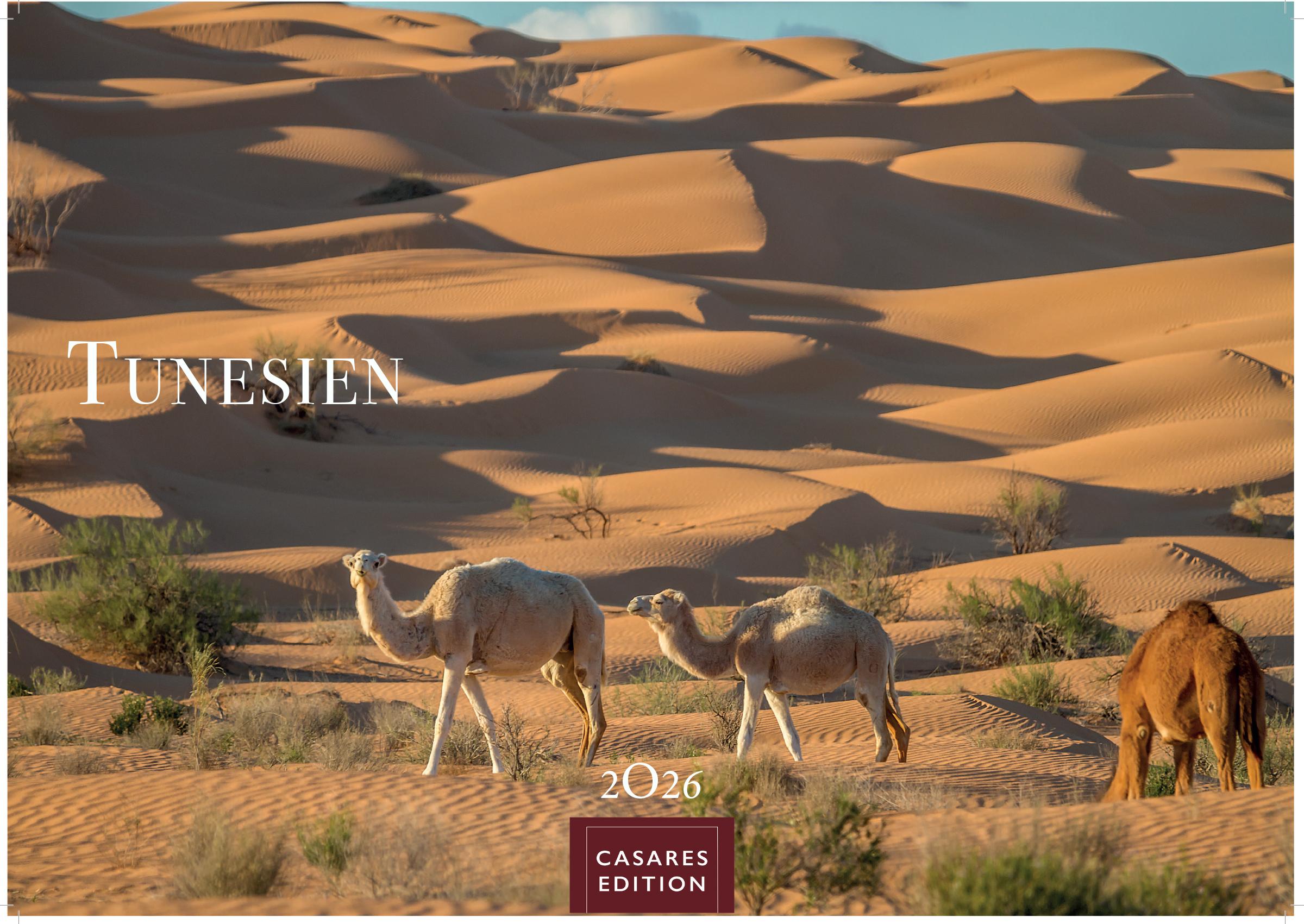 Vorderes Coverbild Tunesien Kalender 2026 - Wandkalender | Fotokalender Afrika 24x35 cm: Hochwertige Fotos, die die Kultur, Landschaften und Sehenswürdigkeiten Tunesiens zeigen.