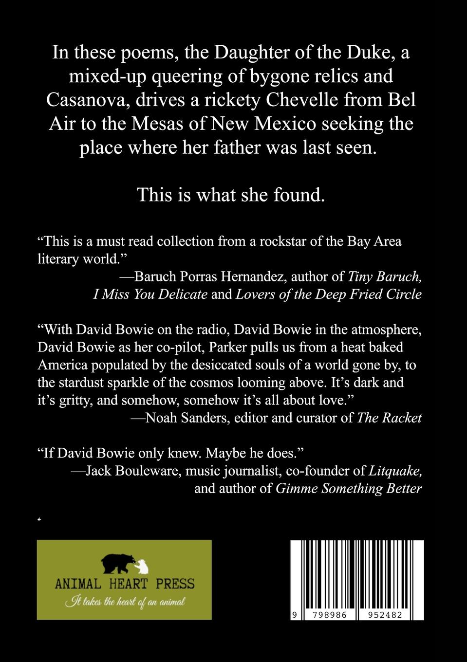 Rückseitencover Dark Way Down