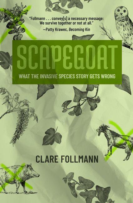 Vorderes Coverbild Scapegoat