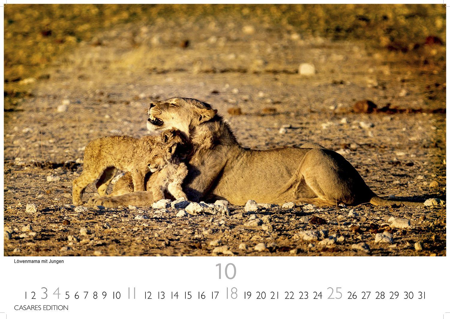 Beispielinhalt (Bild) Namibia Kalender 2026 - Wandkalender | Fotokalender Afrika 24x35 cm - . mit atemberaubenden Landschaftsfotos und der Tierwelt.