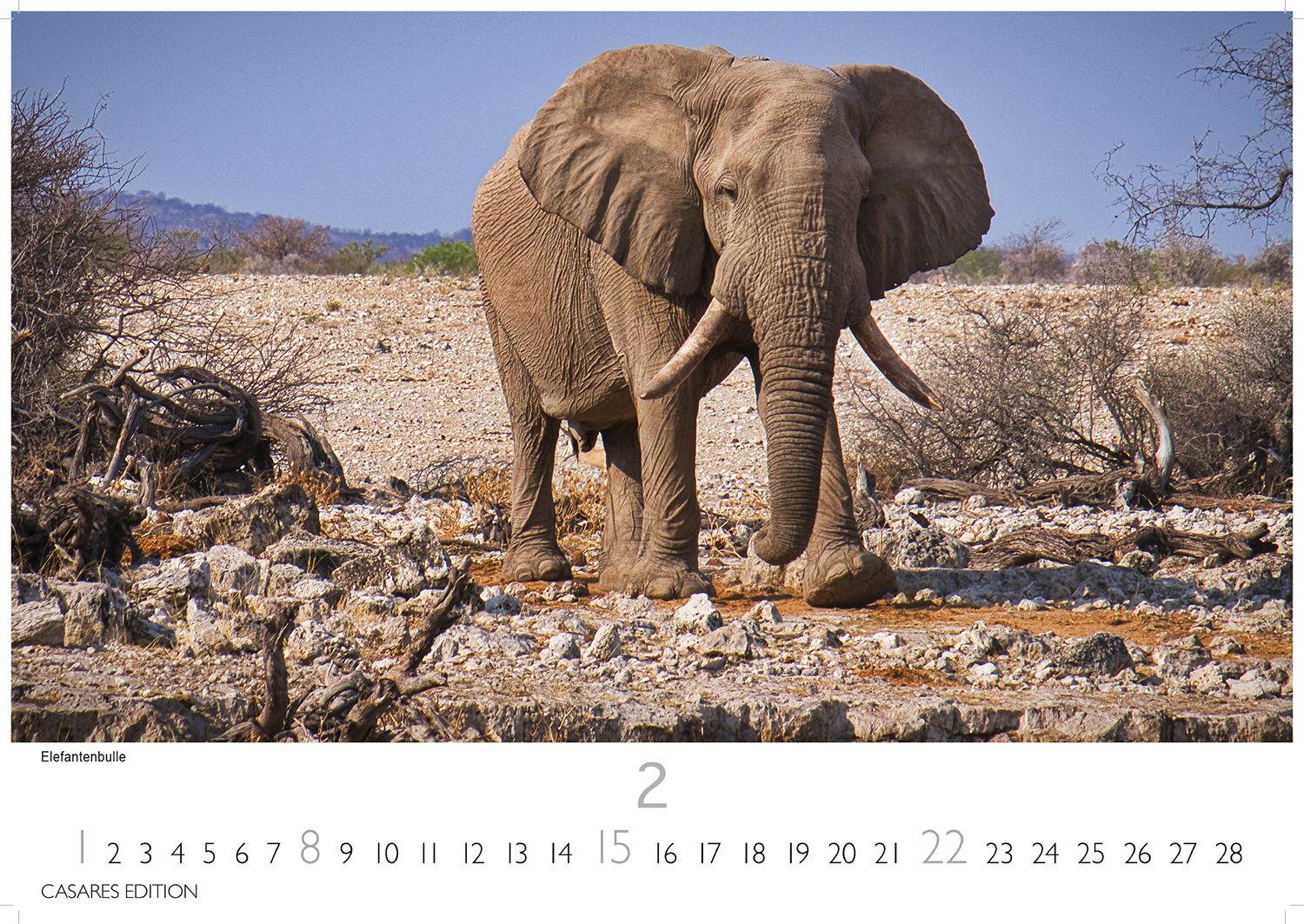 Beispielinhalt (Bild) Namibia Kalender 2026 - Wandkalender | Fotokalender Afrika 24x35 cm - . mit atemberaubenden Landschaftsfotos und der Tierwelt.