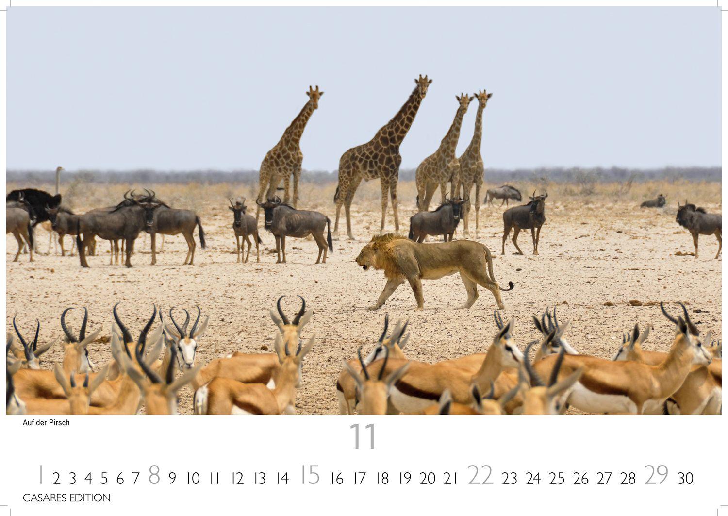 Beispielinhalt (Bild) Namibia Kalender 2026 - Wandkalender | Fotokalender Afrika 24x35 cm - . mit atemberaubenden Landschaftsfotos und der Tierwelt.