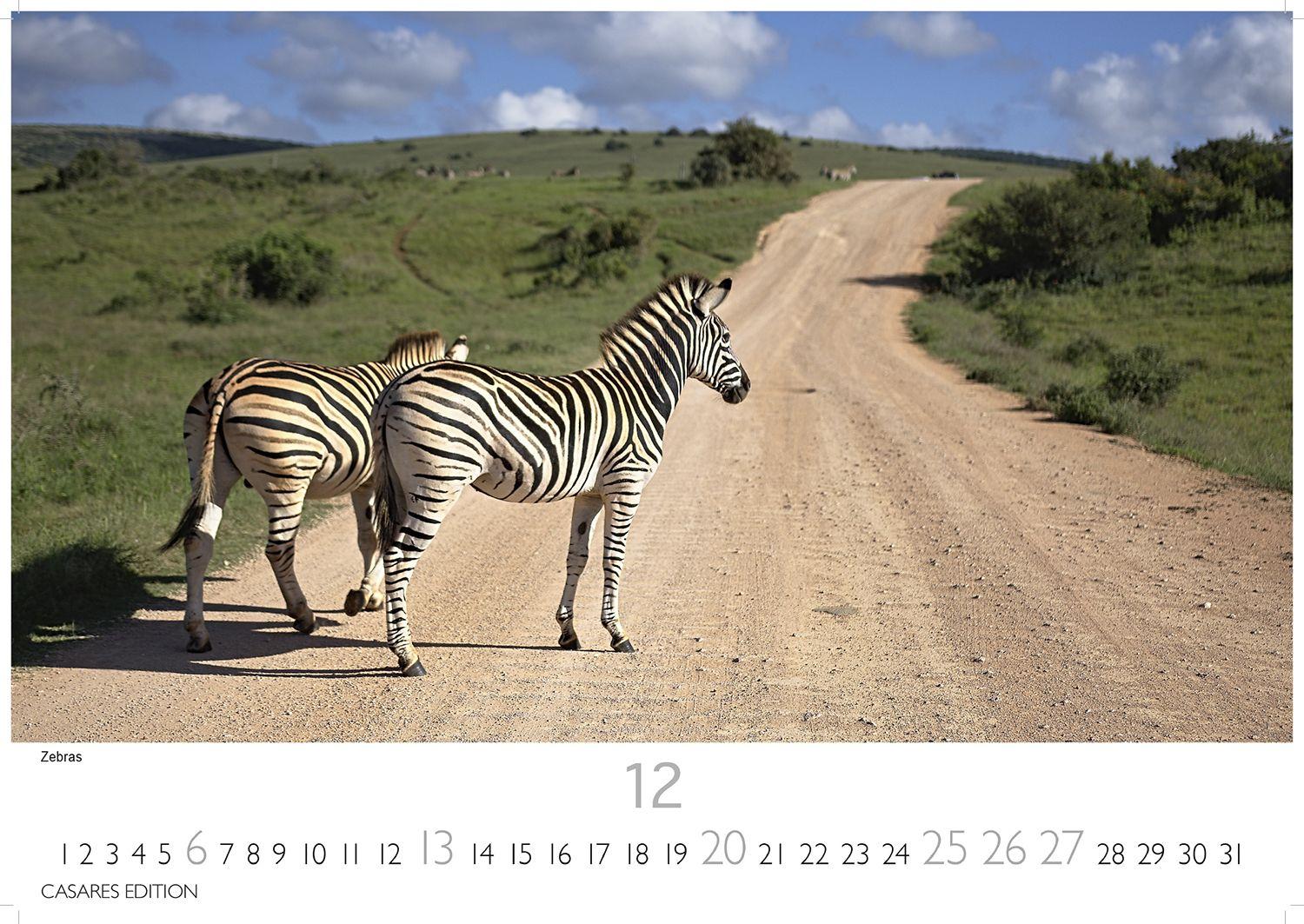 Beispielinhalt (Bild) Südafrika Kalender 2026 - Wandkalender | Fotokalender Afrika 35x50cm - . mit atemberaubenden Natur- und Tierkalenderaufnahmen