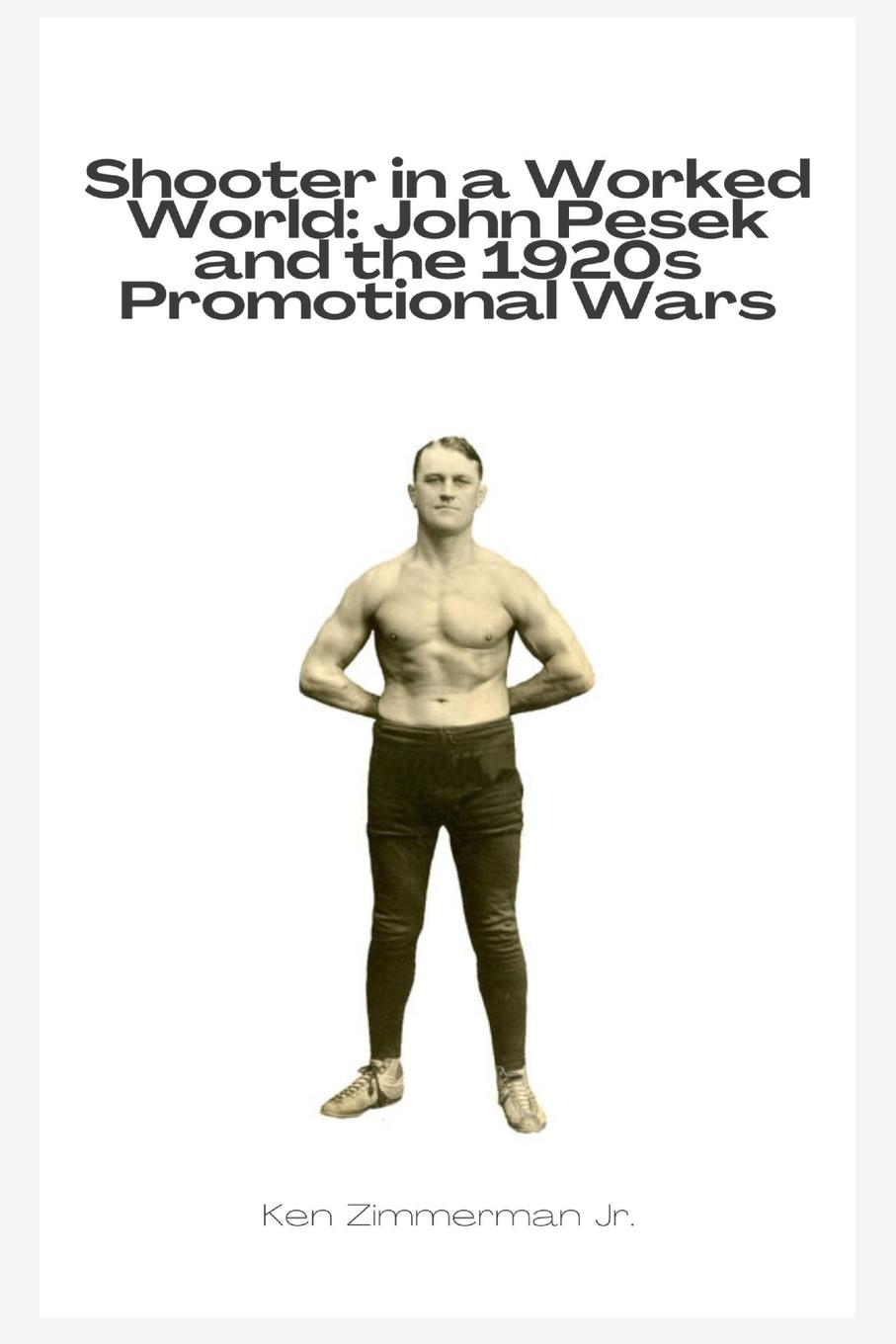 Vorderes Coverbild Shooter in a Worked World