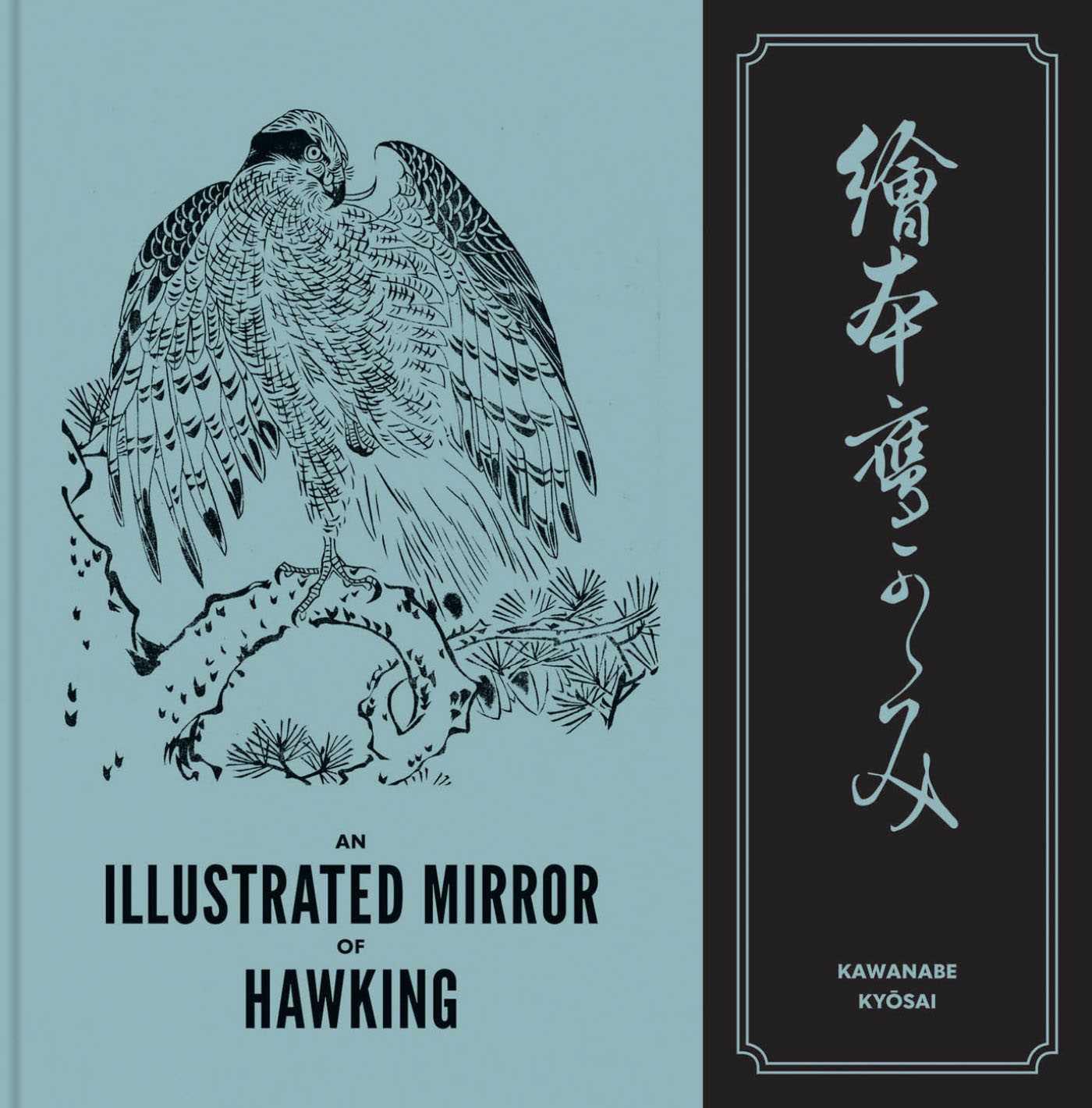 Vorderes Coverbild An Illustrated Mirror of Hawking