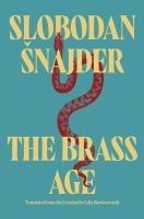 Vorderes Coverbild The Brass Age
