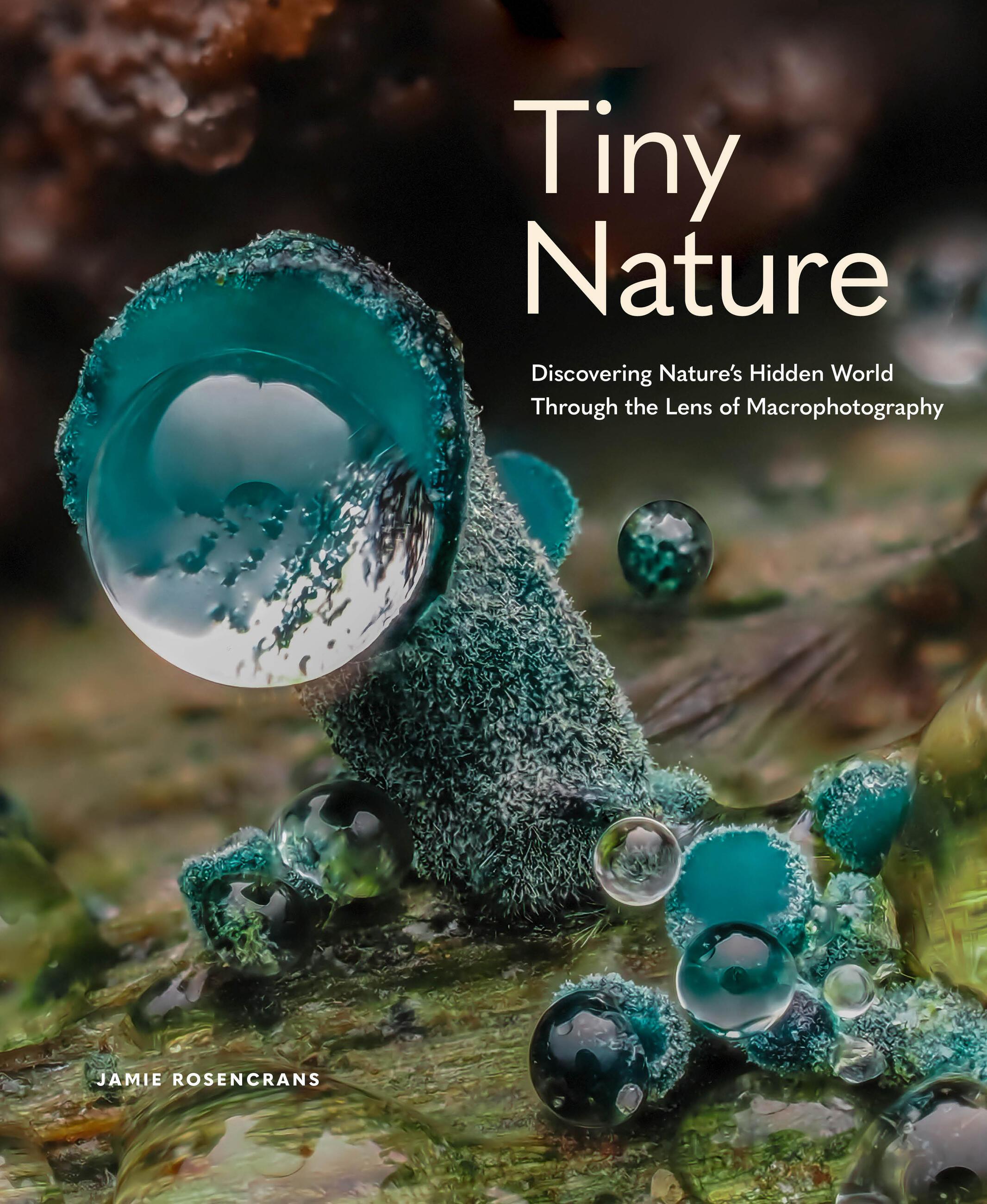 Vorderes Coverbild Tiny Nature