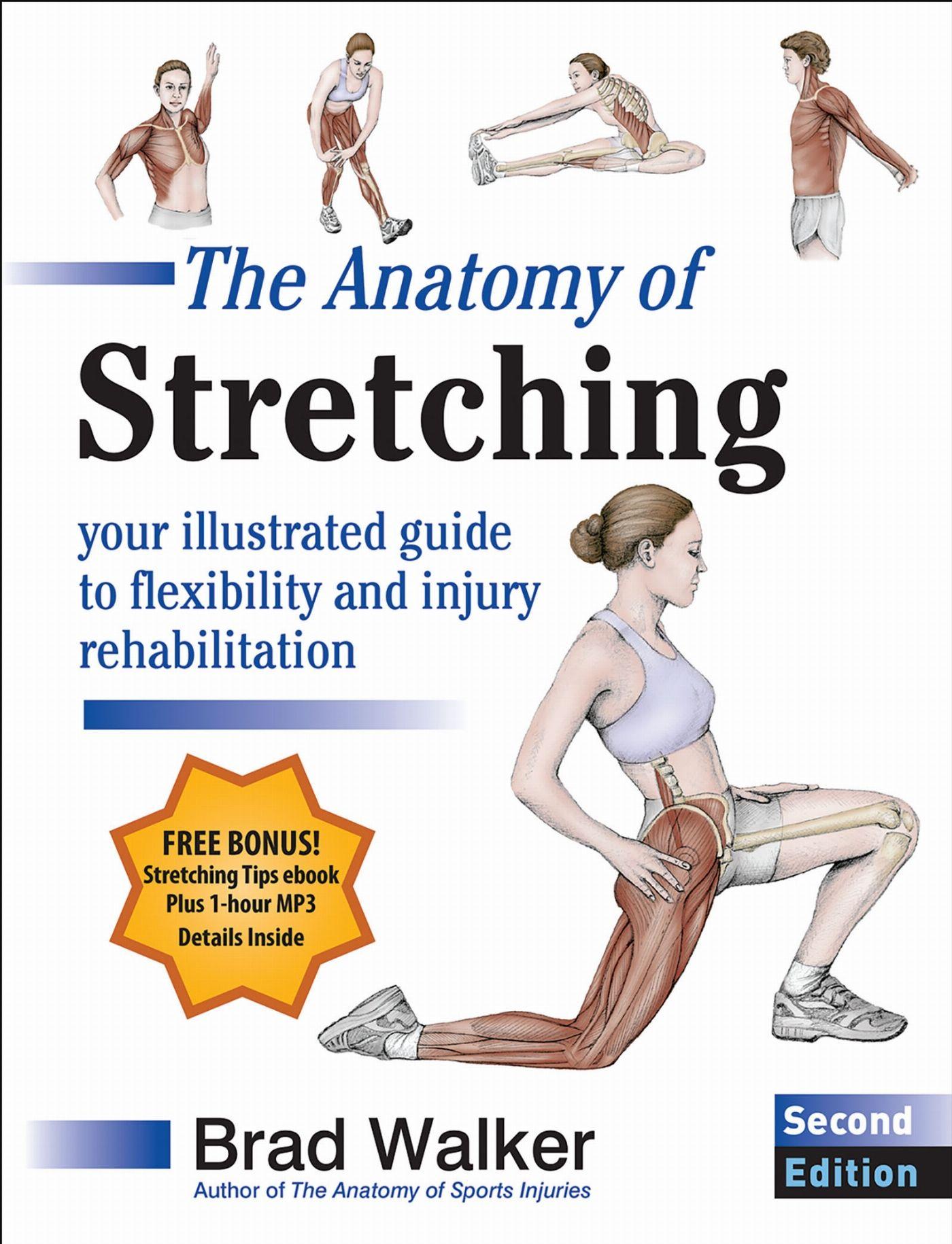 Vorderes Coverbild The Anatomy of Stretching