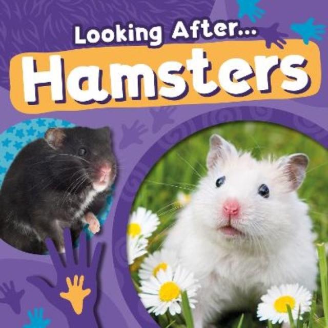 Vorderes Coverbild Hamsters