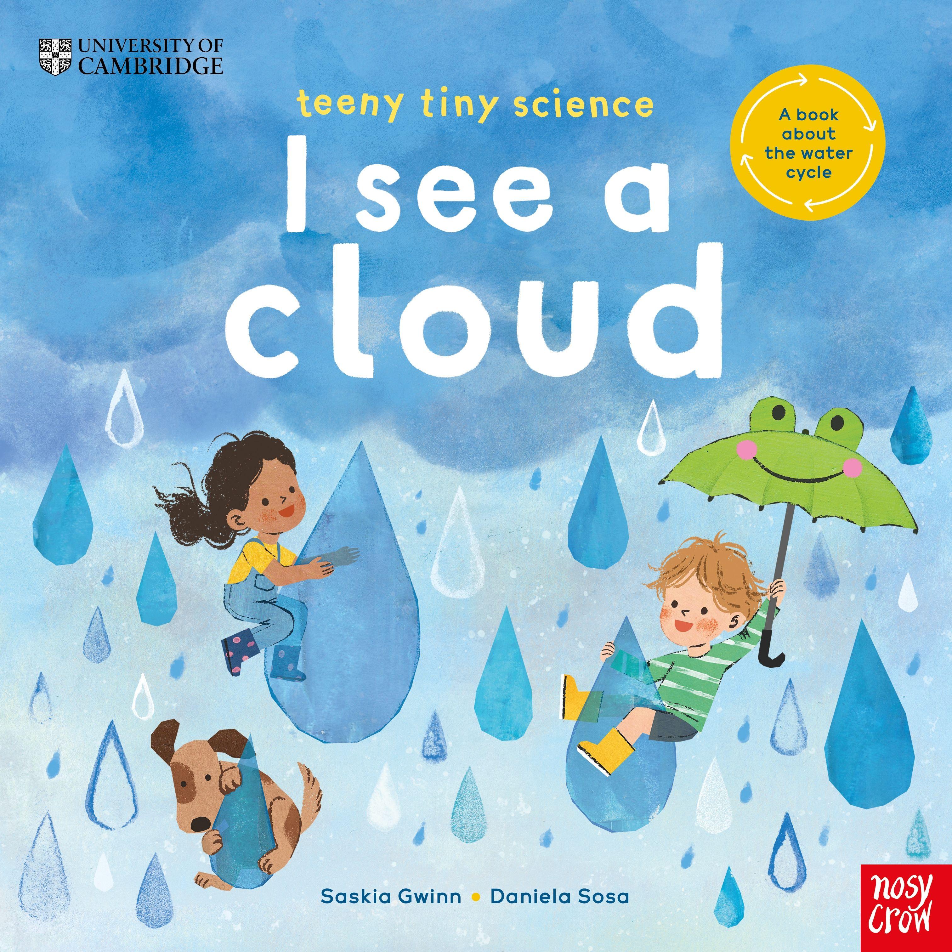 Vorderes Coverbild University of Cambridge: Teeny Tiny Science: I See a Cloud