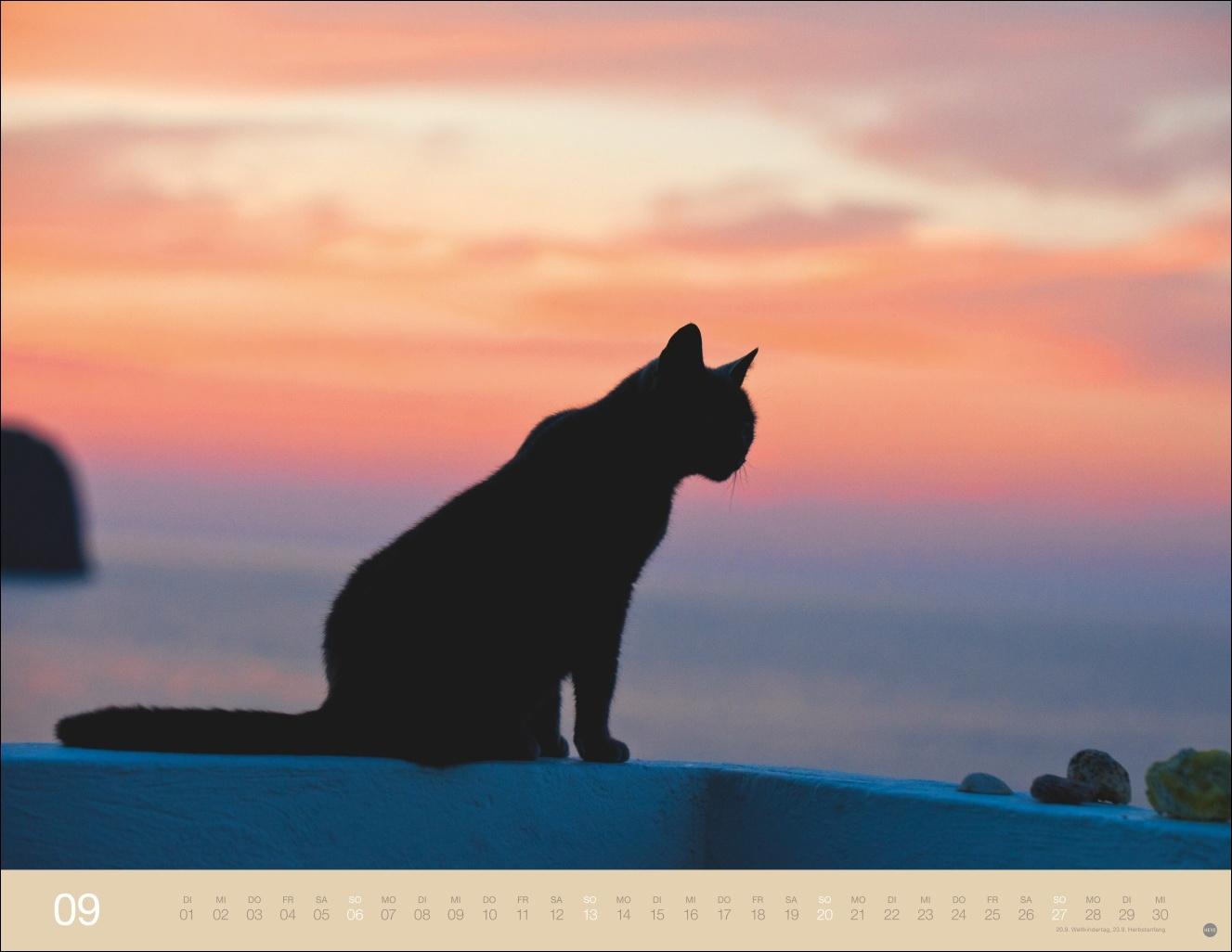 Beispielinhalt (Bild) Monika Wegler: Katzenkalender 2026