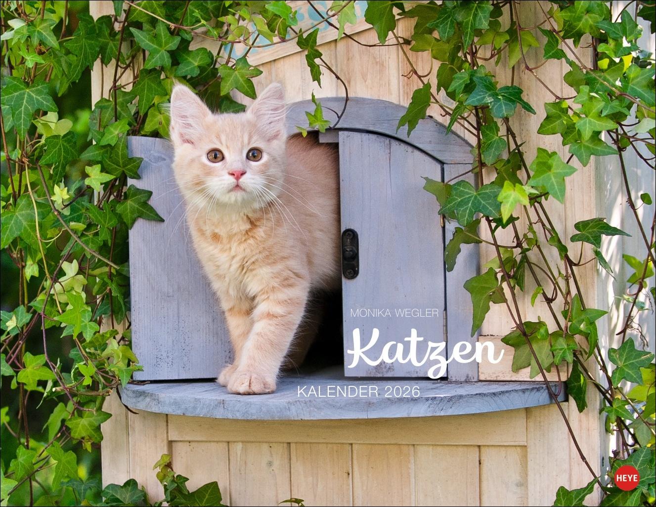 Vorderes Coverbild Monika Wegler: Katzenkalender 2026