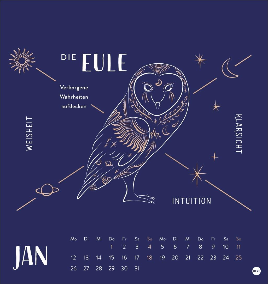 Beispielinhalt (Bild) Krafttiere Postkartenkalender 2026