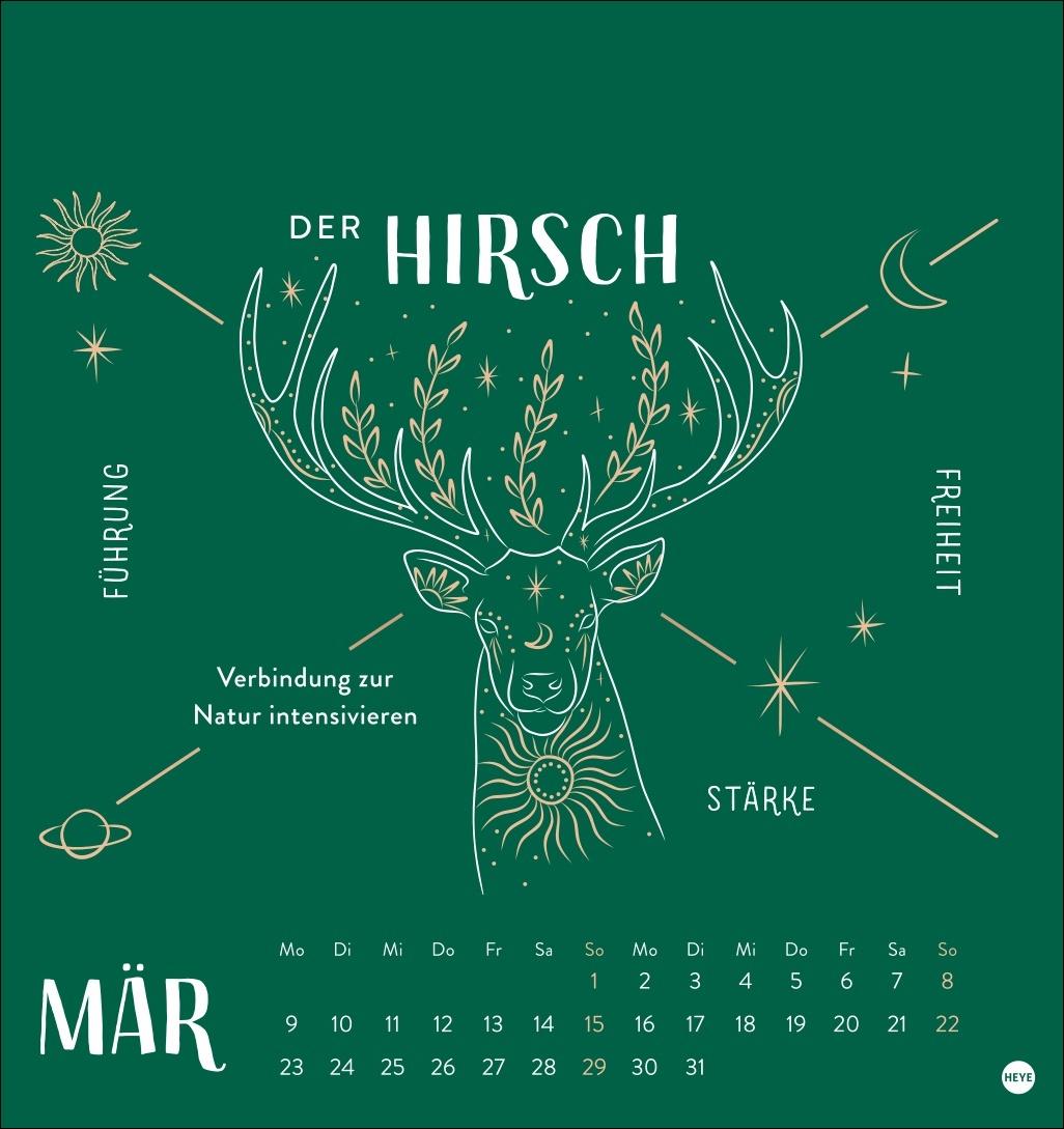 Beispielinhalt (Bild) Krafttiere Postkartenkalender 2026