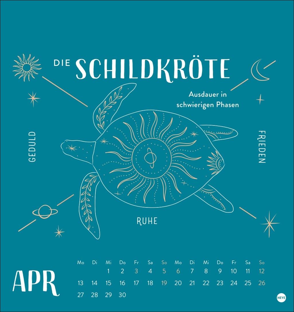 Beispielinhalt (Bild) Krafttiere Postkartenkalender 2026