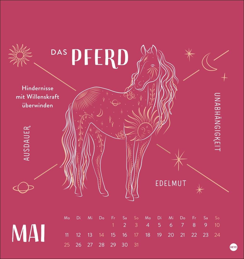 Beispielinhalt (Bild) Krafttiere Postkartenkalender 2026